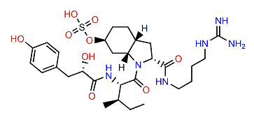 Aeruginosin 98B